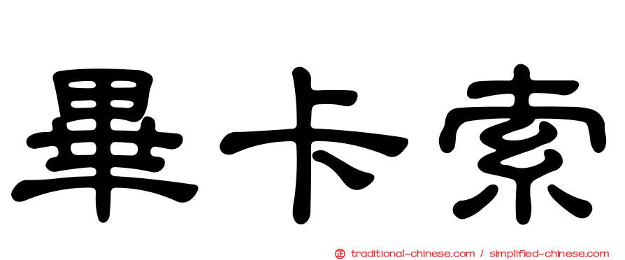 畢卡索