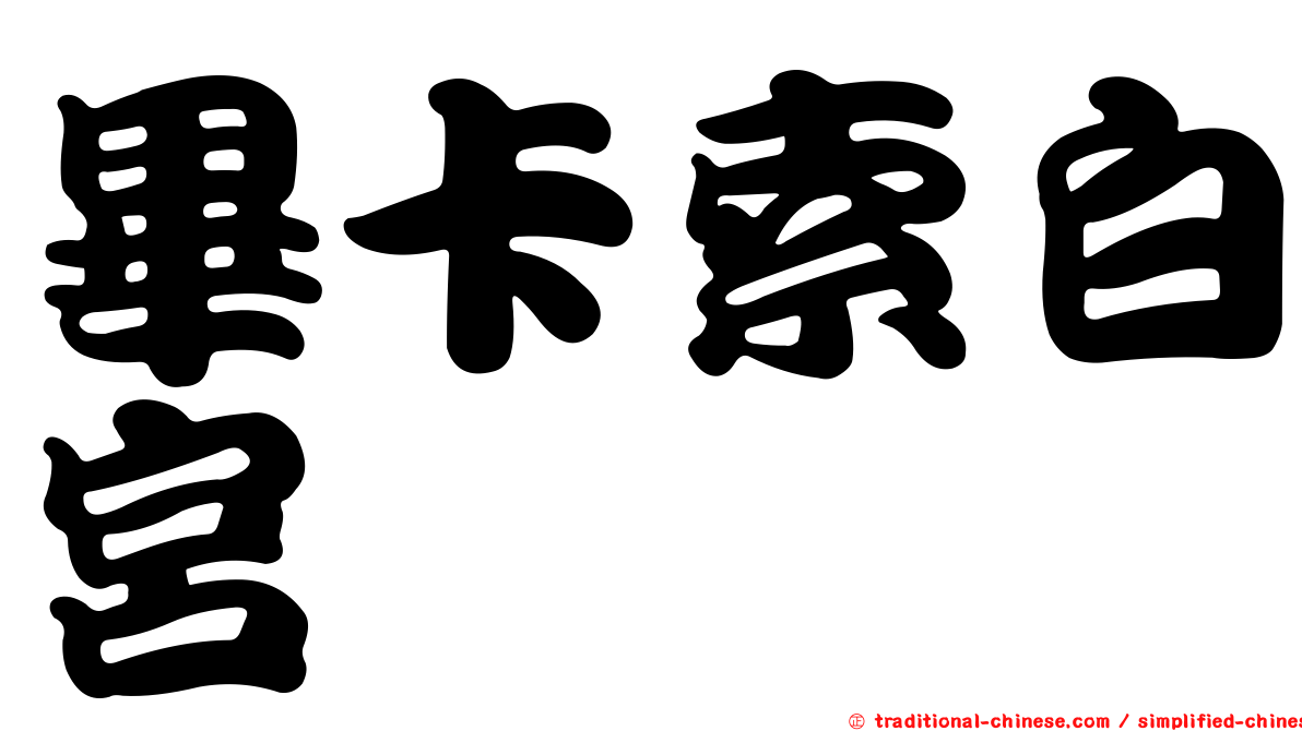 畢卡索白宮