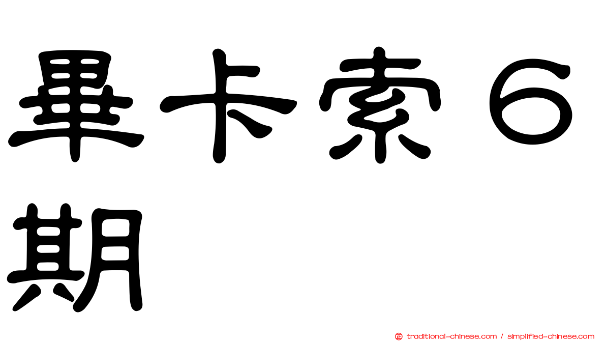 畢卡索６期