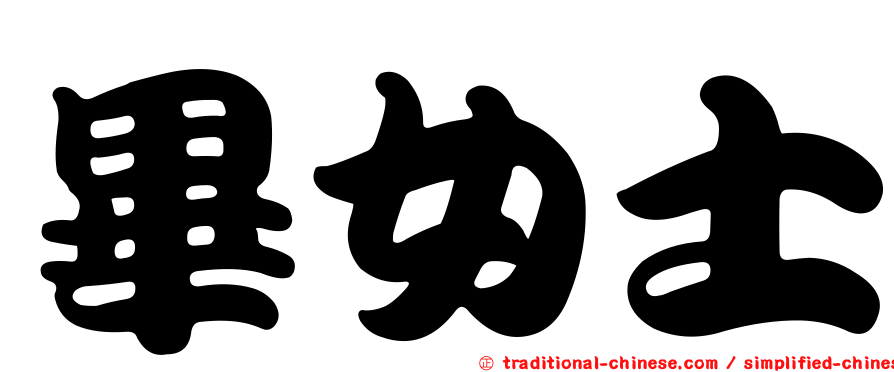 畢女士