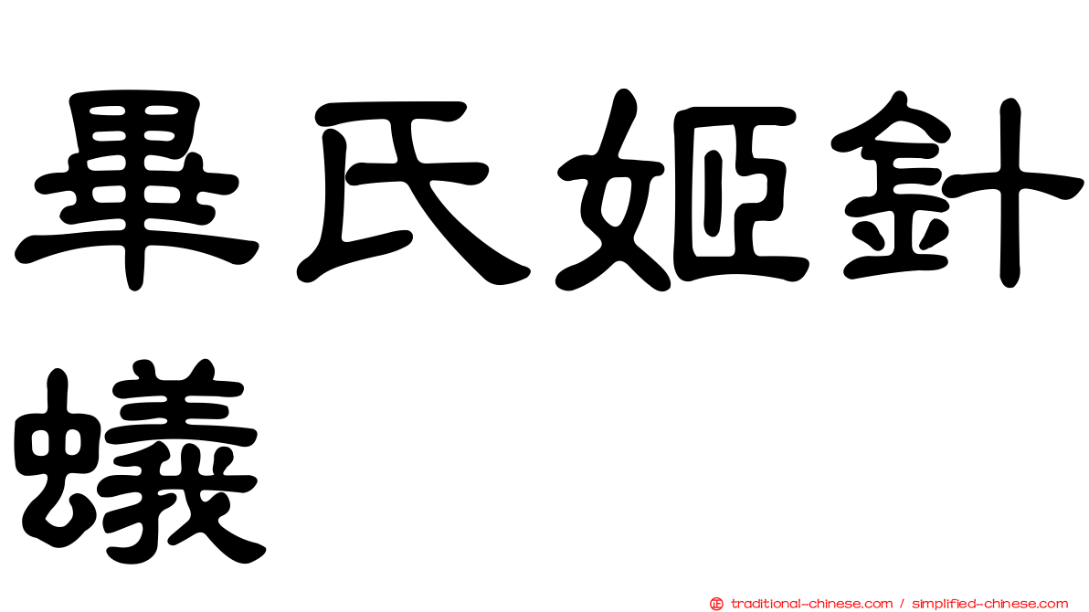 畢氏姬針蟻