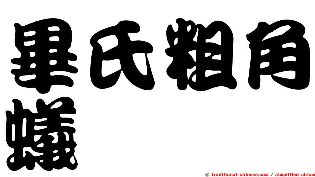 畢氏粗角蟻