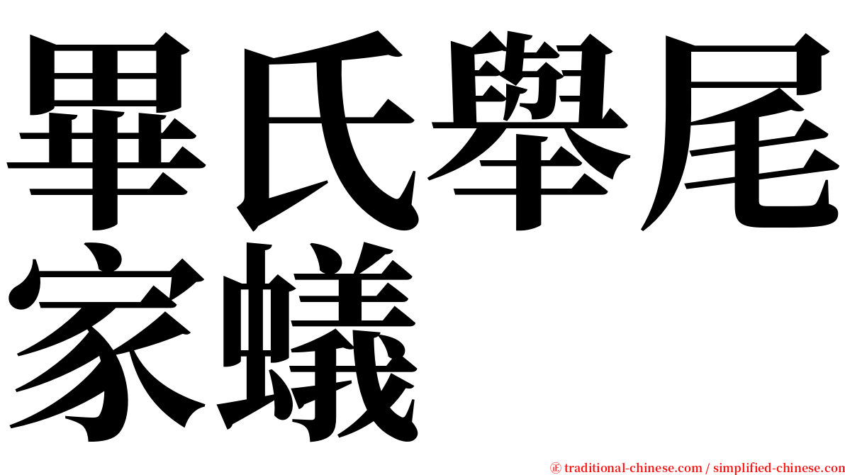 畢氏舉尾家蟻 serif font