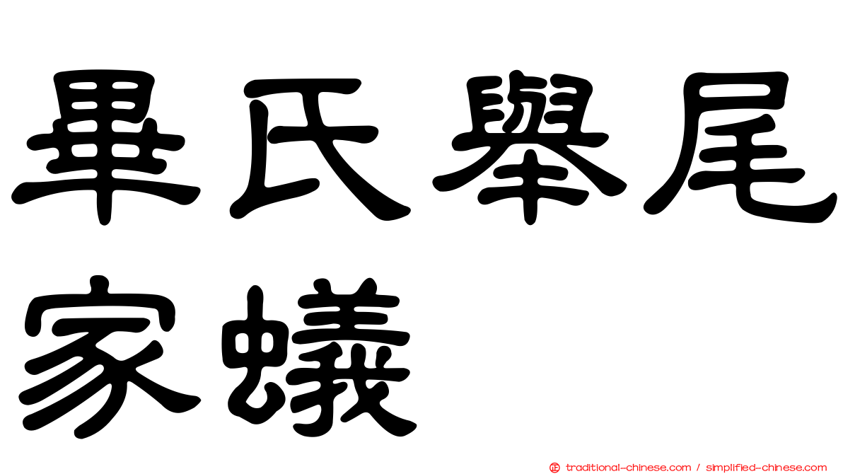 畢氏舉尾家蟻