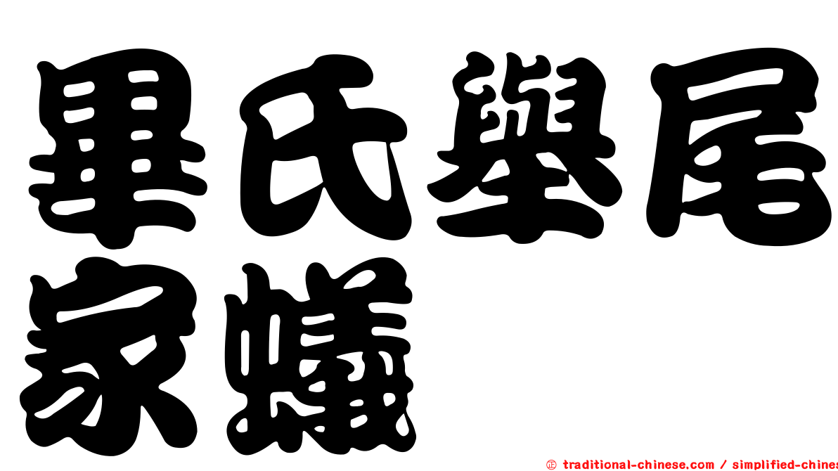 畢氏舉尾家蟻