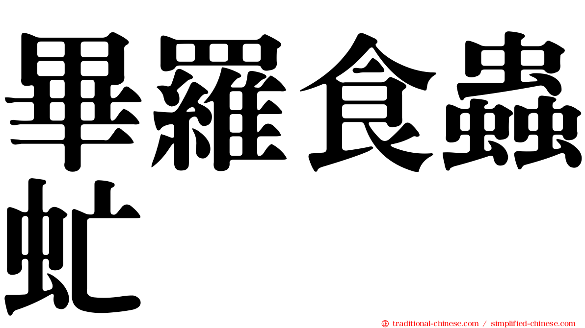 畢羅食蟲虻