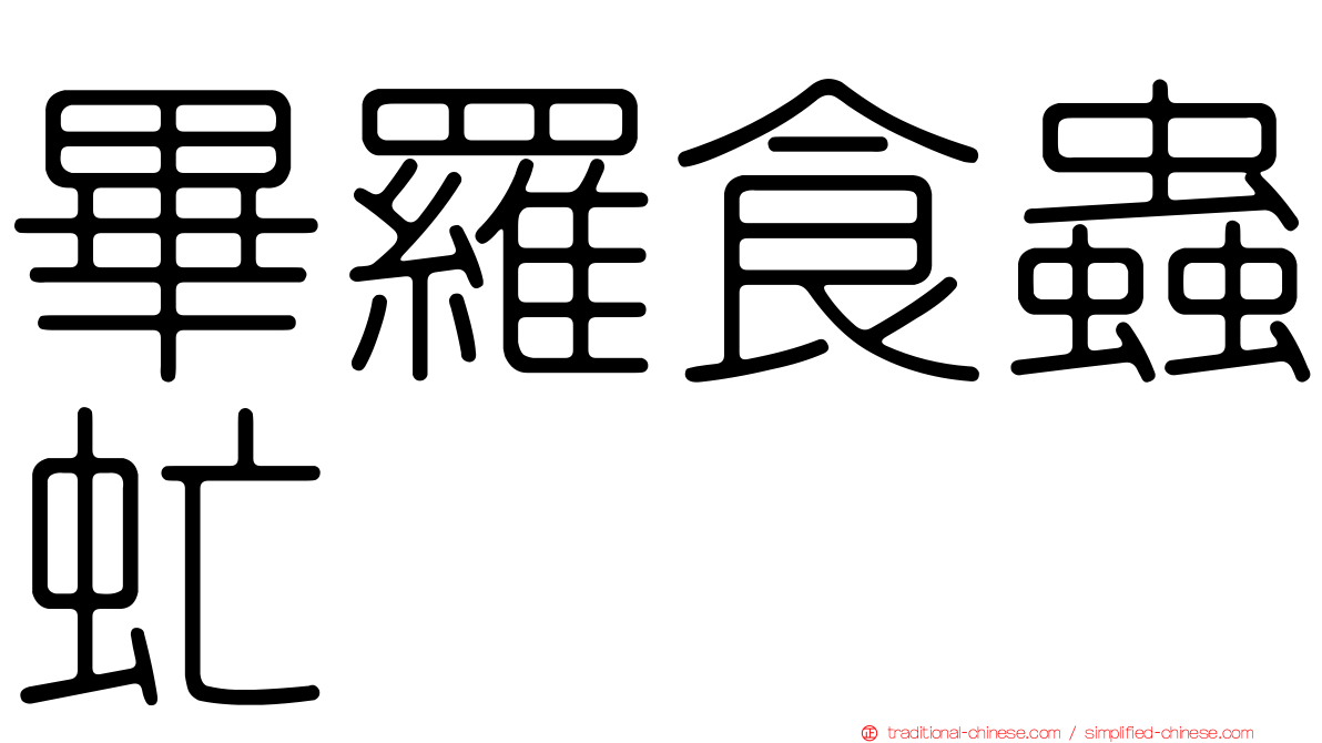 畢羅食蟲虻