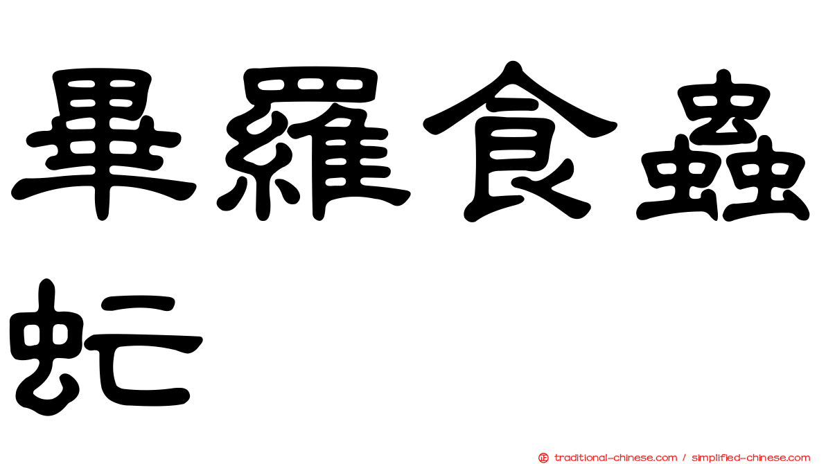 畢羅食蟲虻