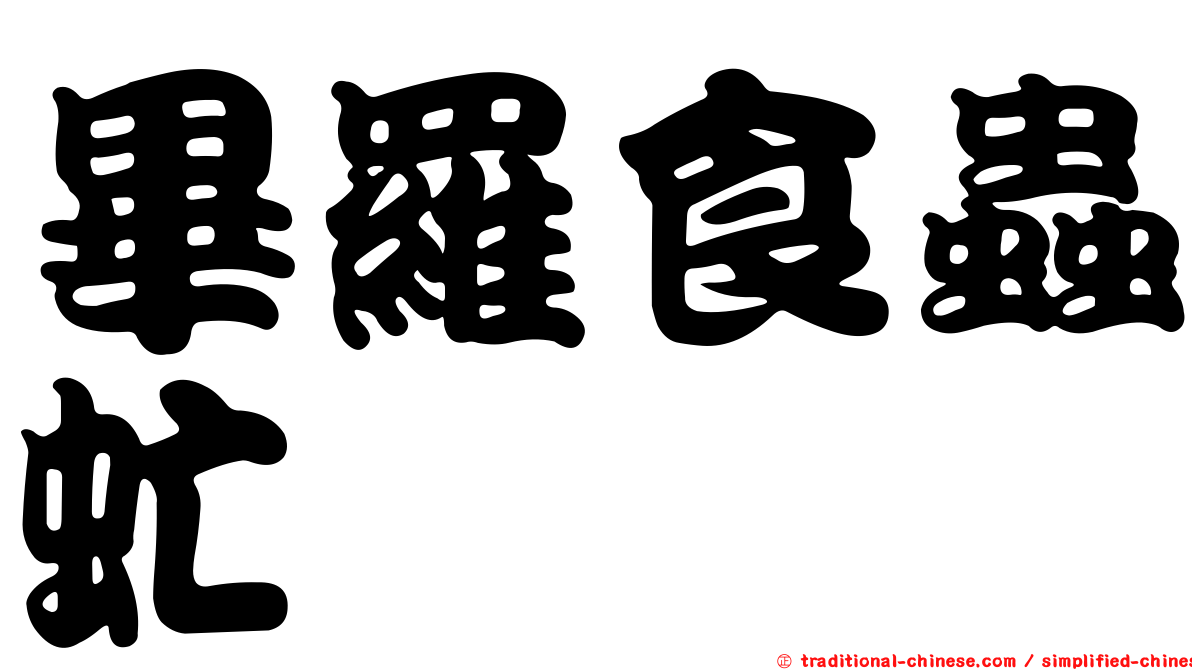 畢羅食蟲虻