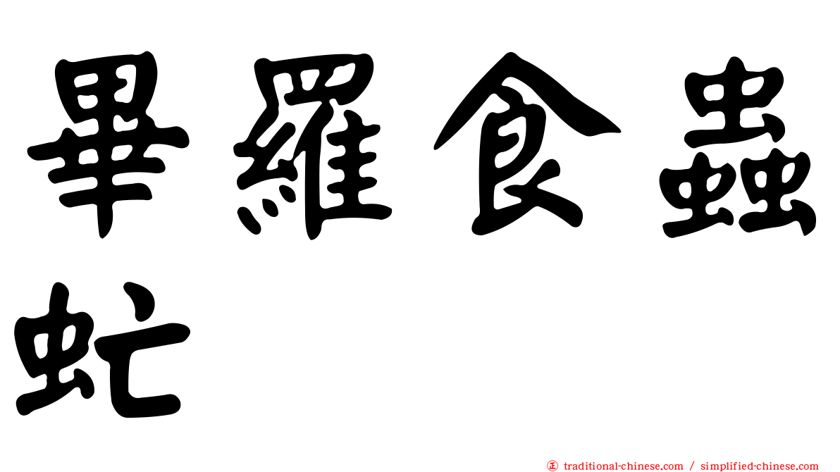 畢羅食蟲虻