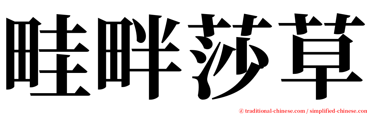 畦畔莎草 serif font