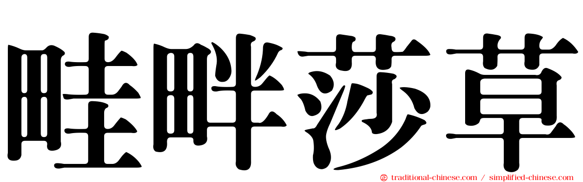 畦畔莎草