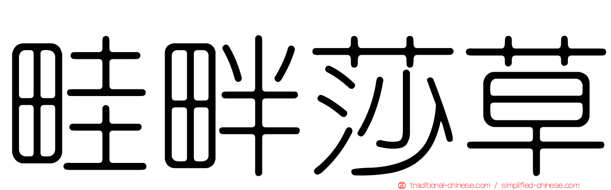 畦畔莎草