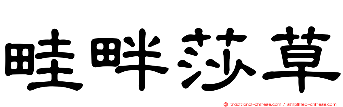 畦畔莎草