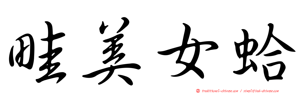 畦美女蛤