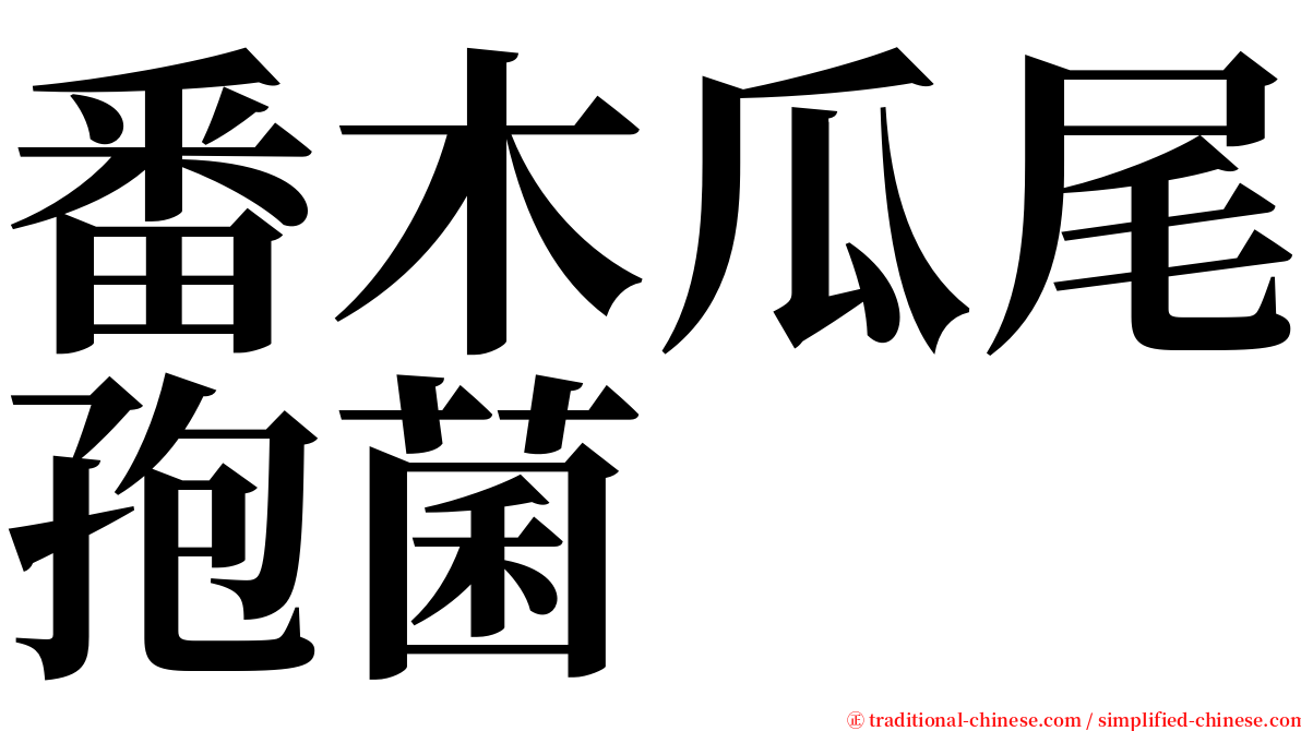 番木瓜尾孢菌 serif font