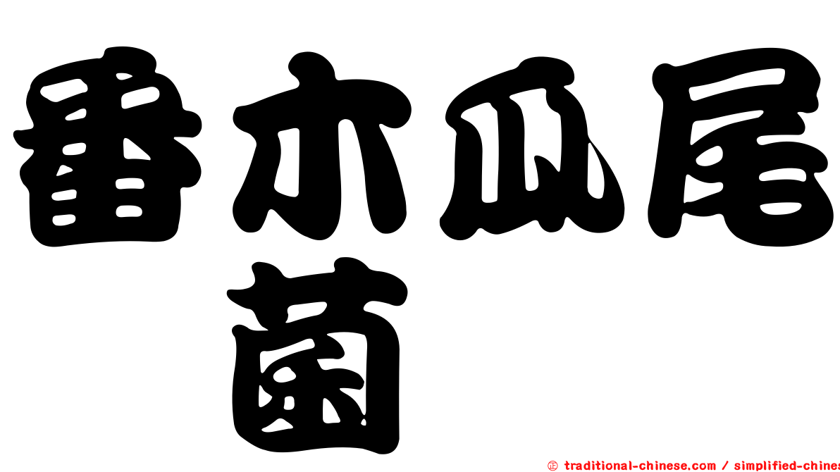 番木瓜尾孢菌