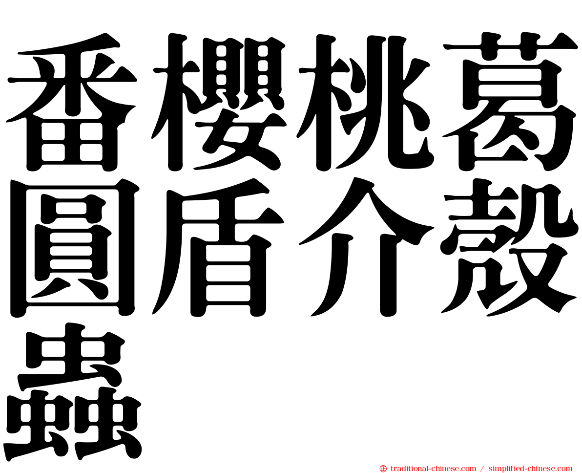 番櫻桃葛圓盾介殼蟲
