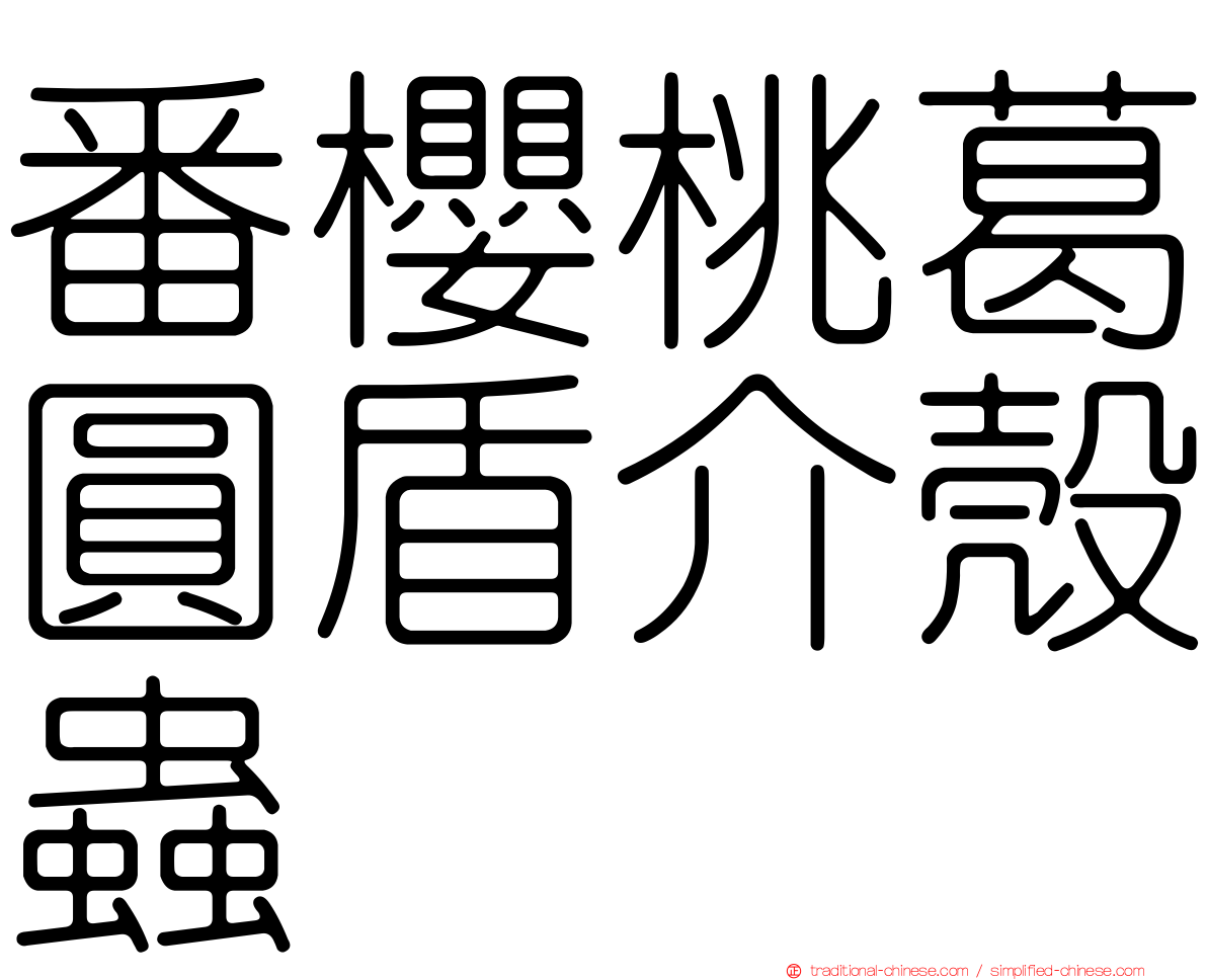 番櫻桃葛圓盾介殼蟲