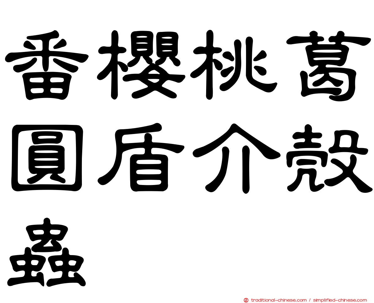 番櫻桃葛圓盾介殼蟲