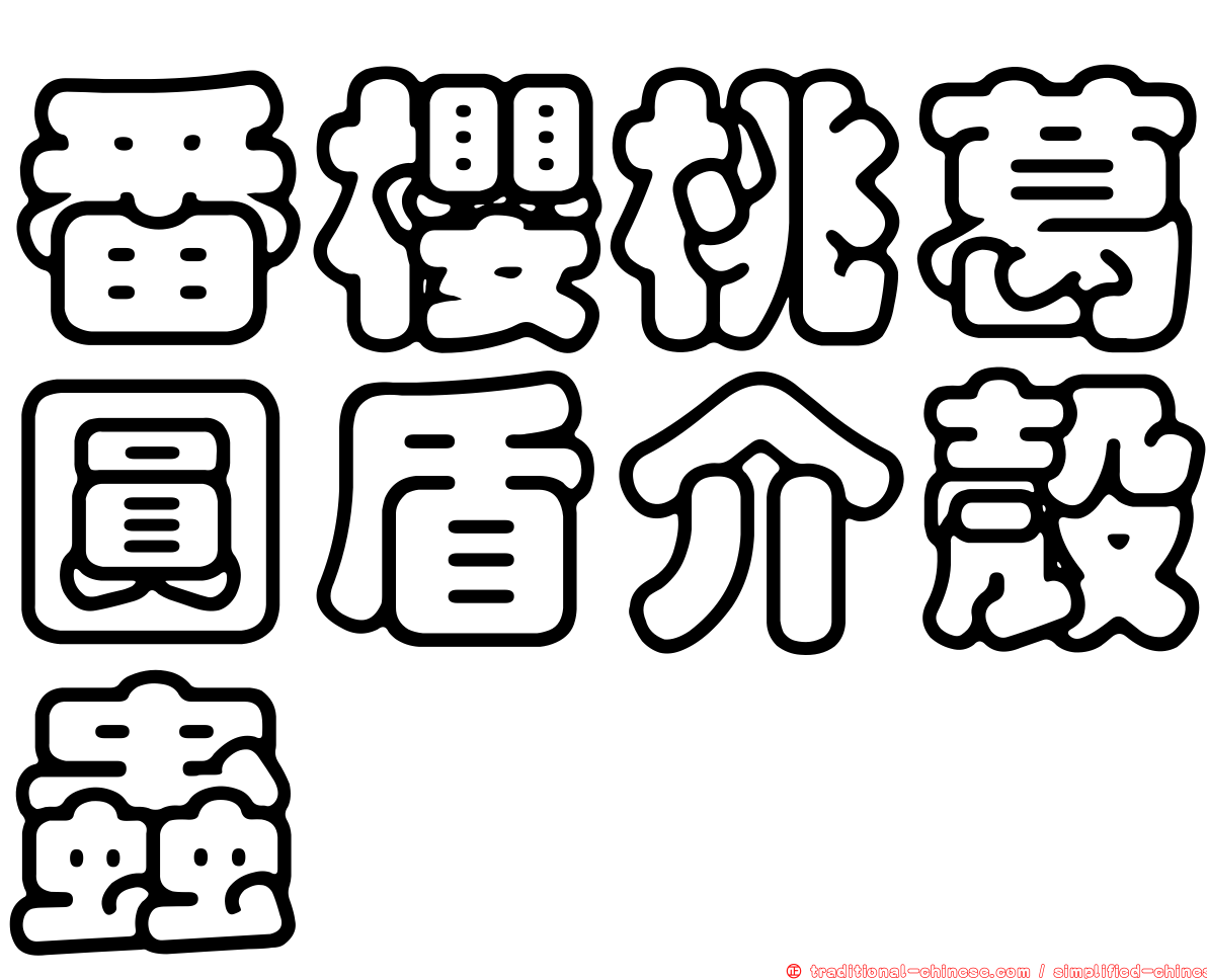 番櫻桃葛圓盾介殼蟲