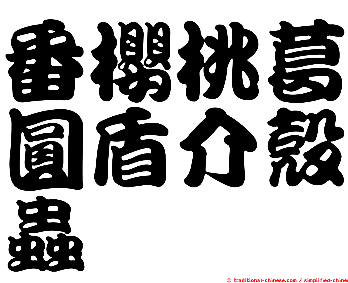 番櫻桃葛圓盾介殼蟲