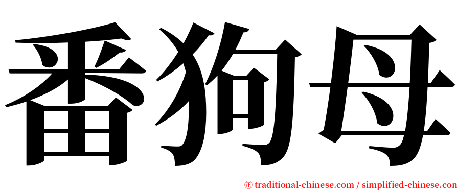 番狗母 serif font