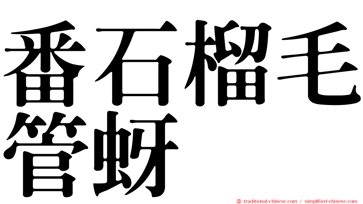 番石榴毛管蚜