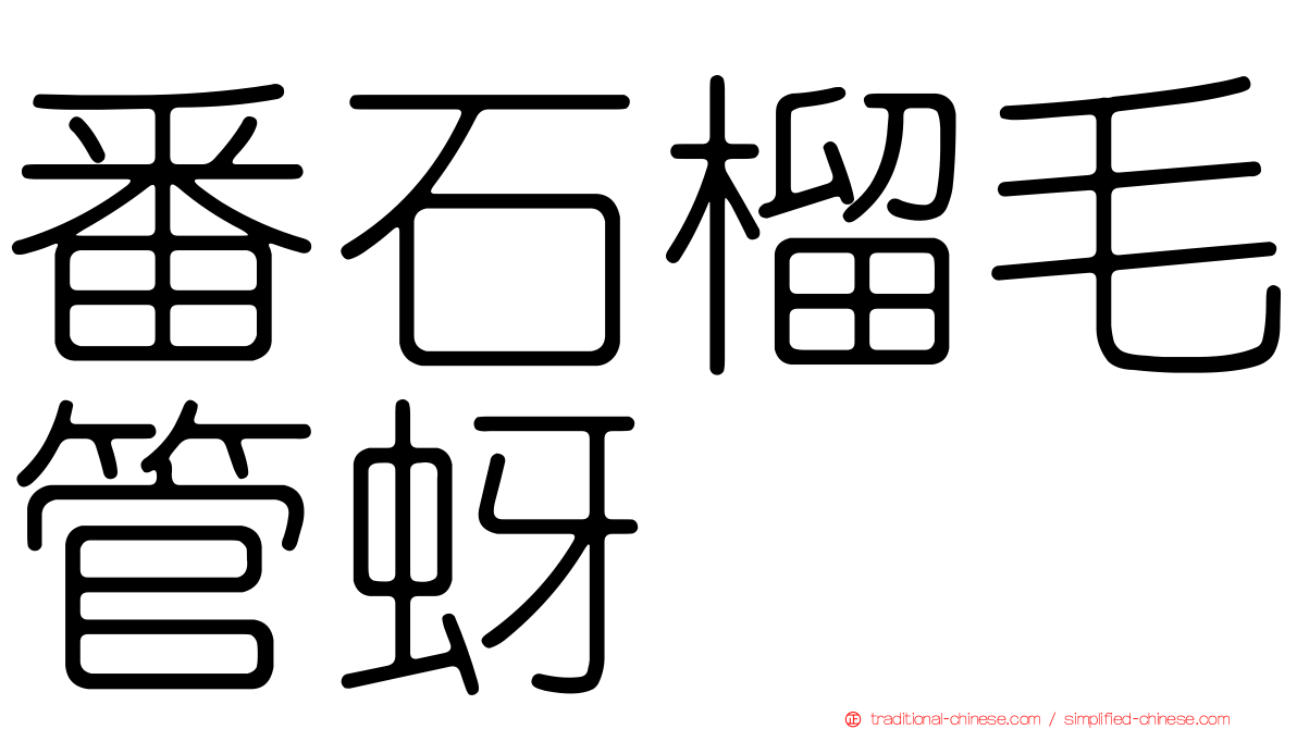 番石榴毛管蚜