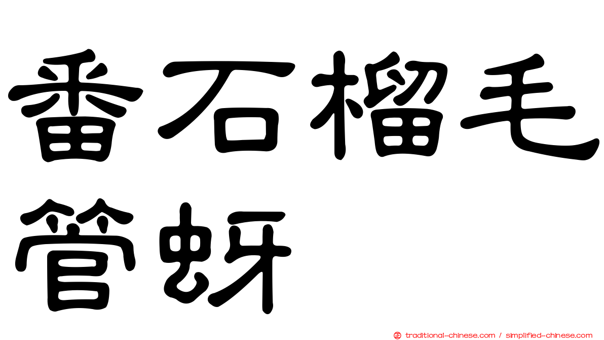 番石榴毛管蚜