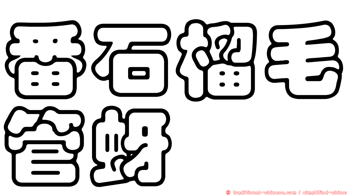 番石榴毛管蚜