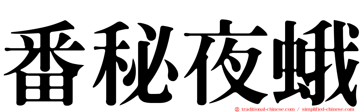 番秘夜蛾