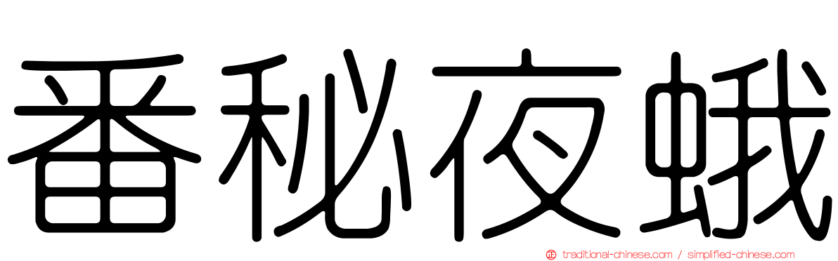番秘夜蛾