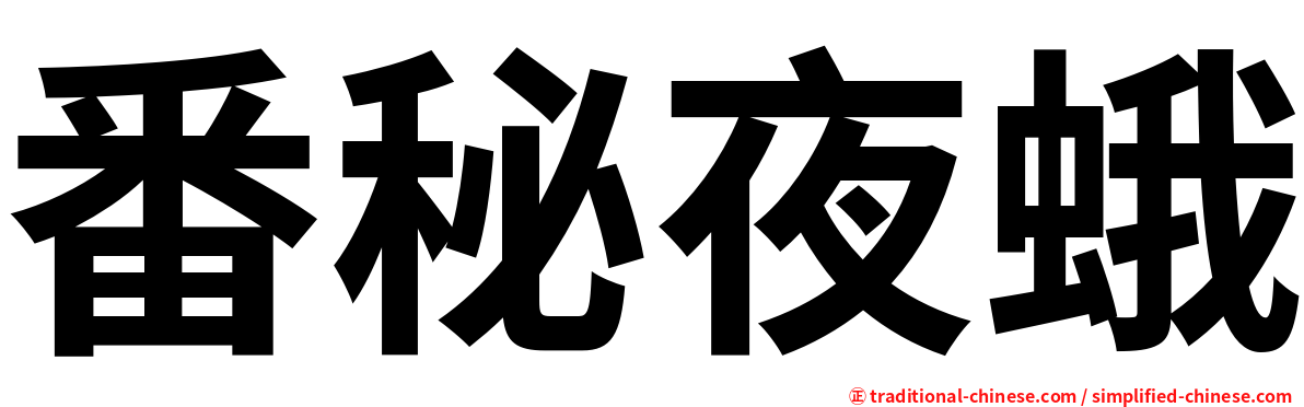 番秘夜蛾