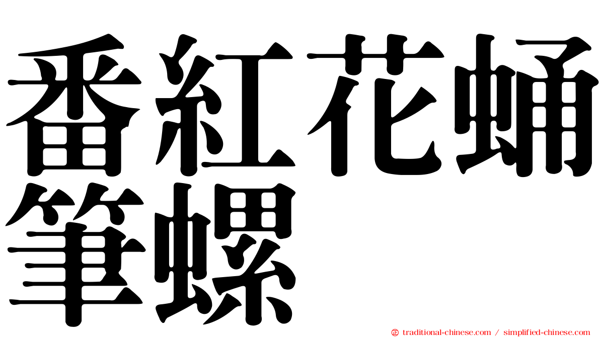 番紅花蛹筆螺