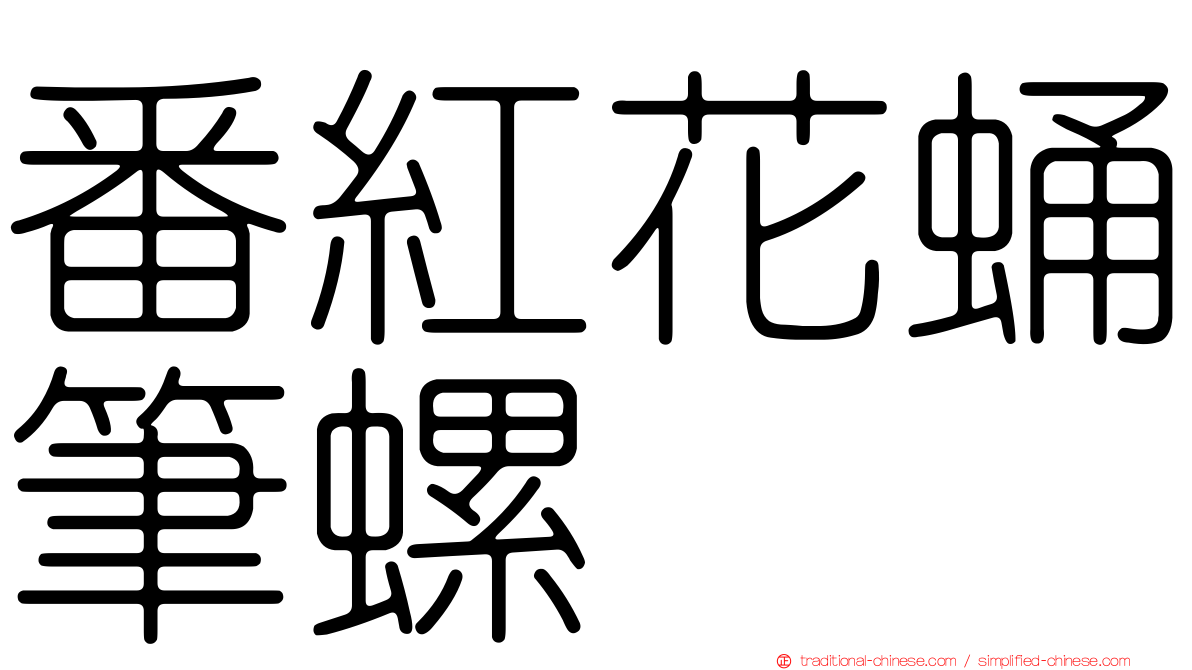 番紅花蛹筆螺