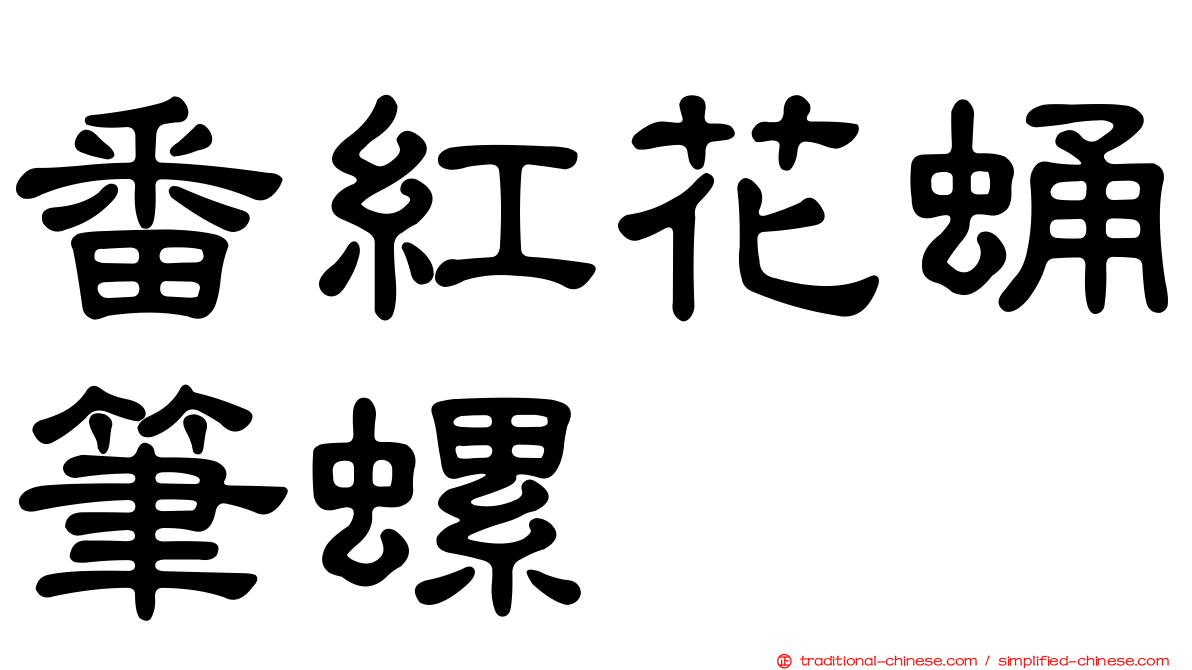 番紅花蛹筆螺