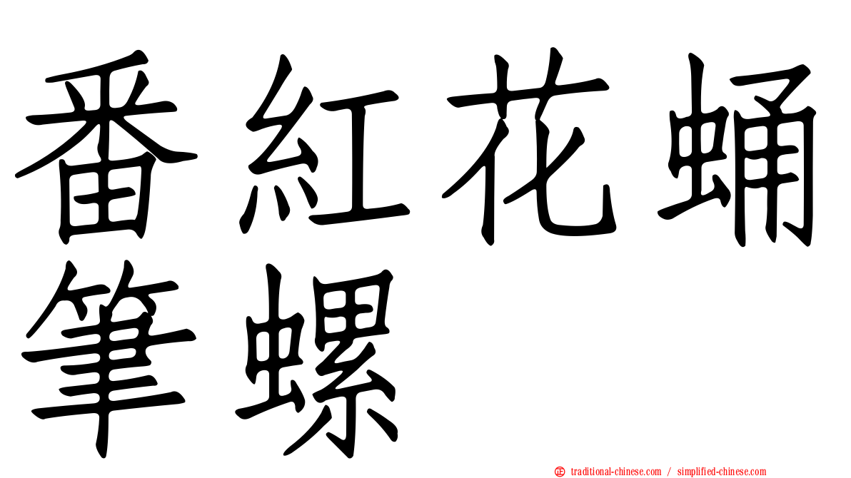 番紅花蛹筆螺