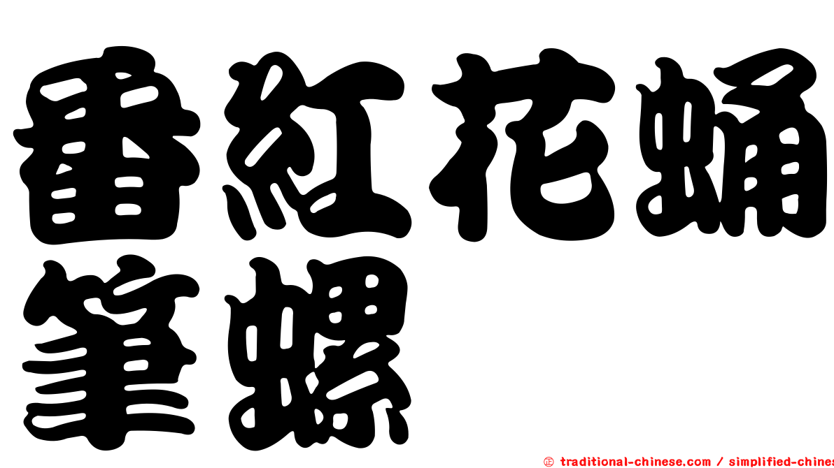 番紅花蛹筆螺
