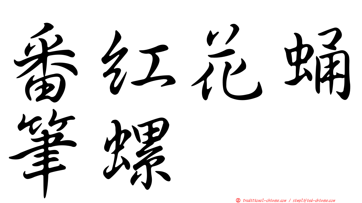 番紅花蛹筆螺