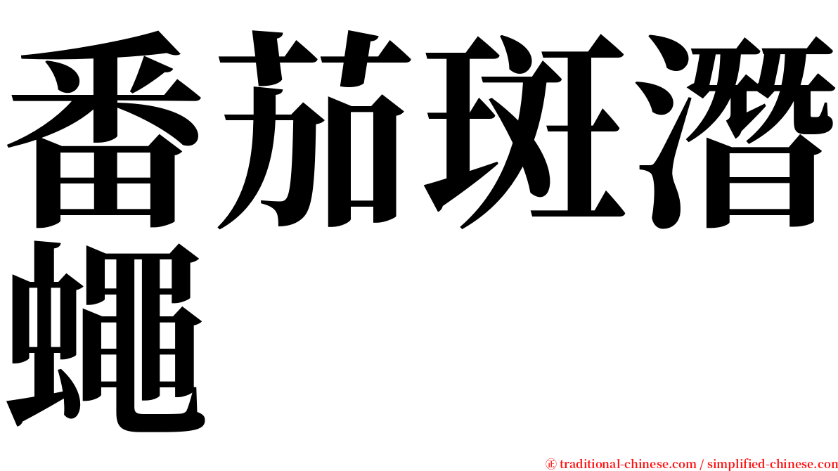 番茄斑潛蠅 serif font