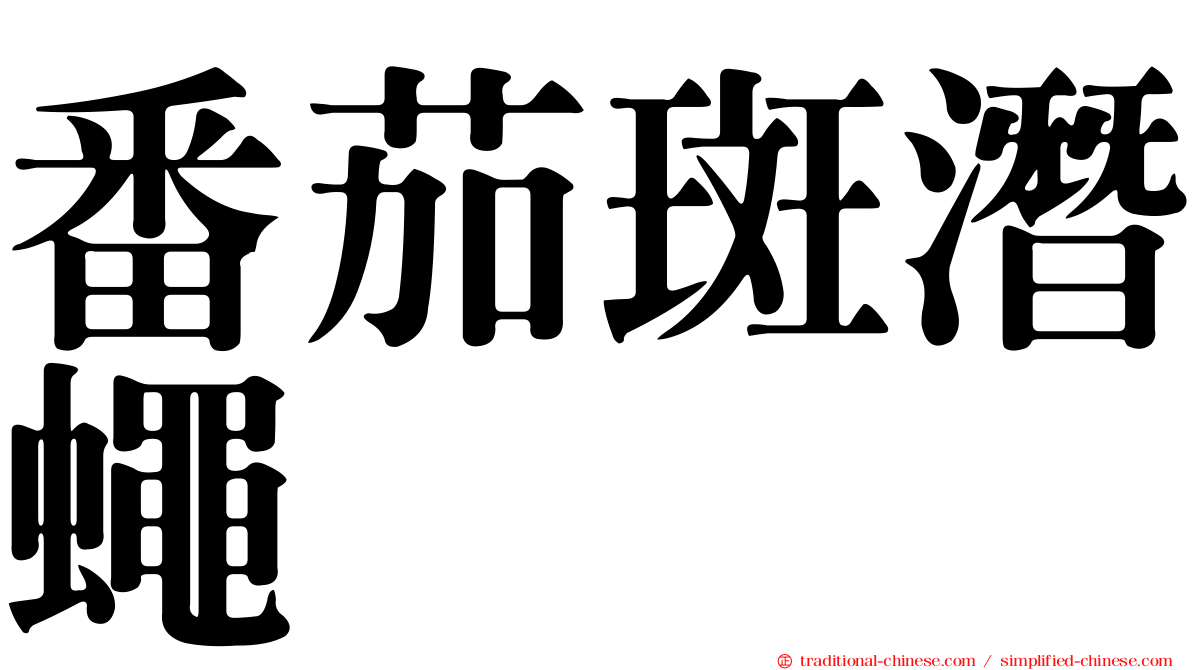 番茄斑潛蠅