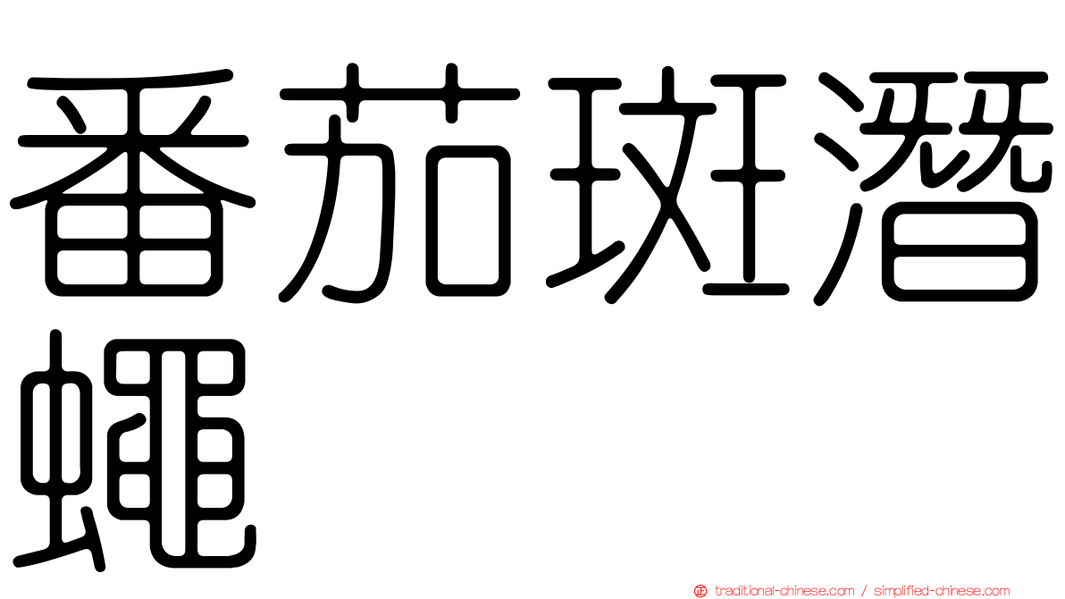 番茄斑潛蠅