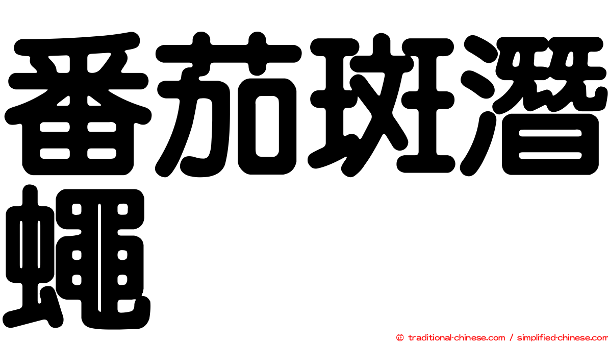 番茄斑潛蠅