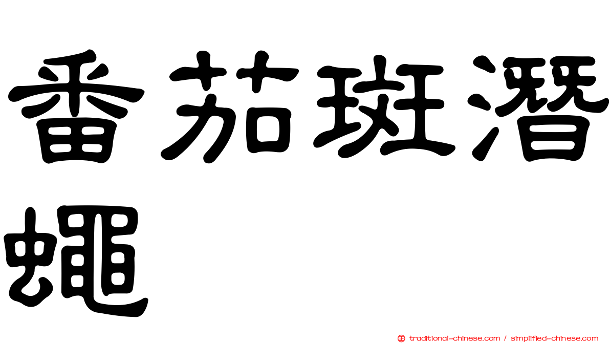 番茄斑潛蠅