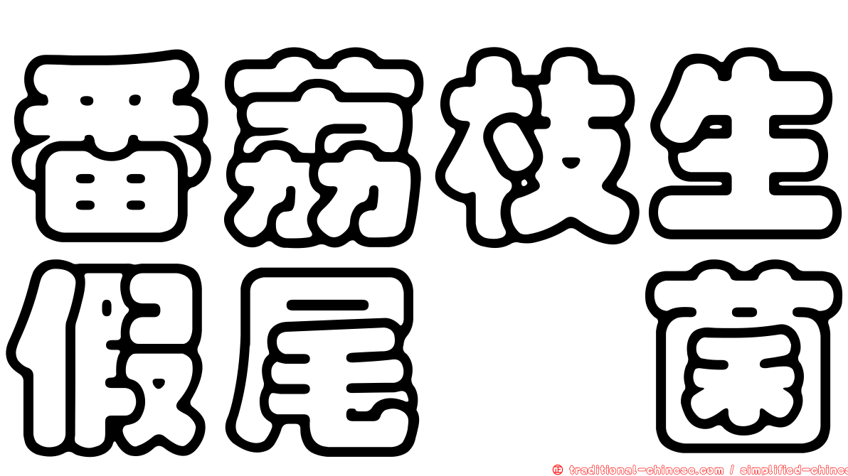 番荔枝生假尾孢菌