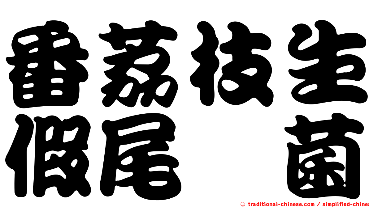 番荔枝生假尾孢菌