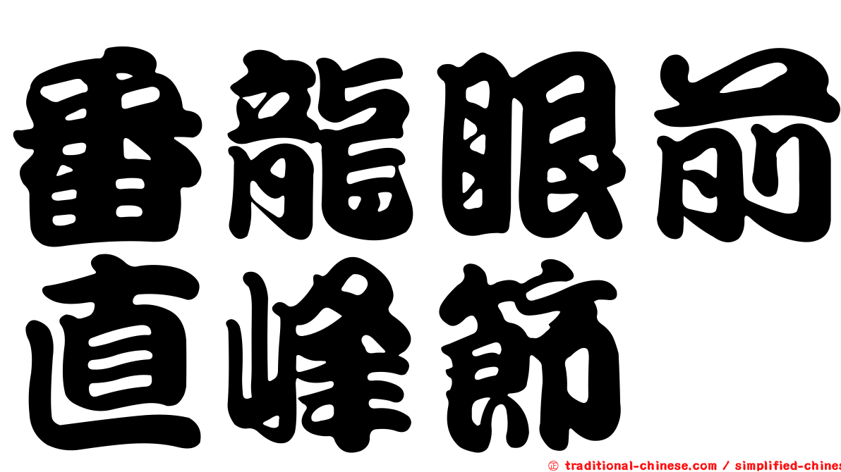 番龍眼前直峰節蜱