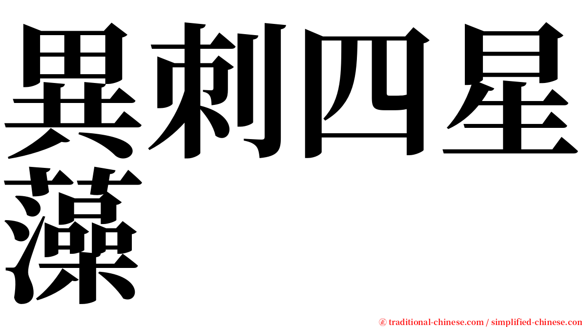 異刺四星藻 serif font