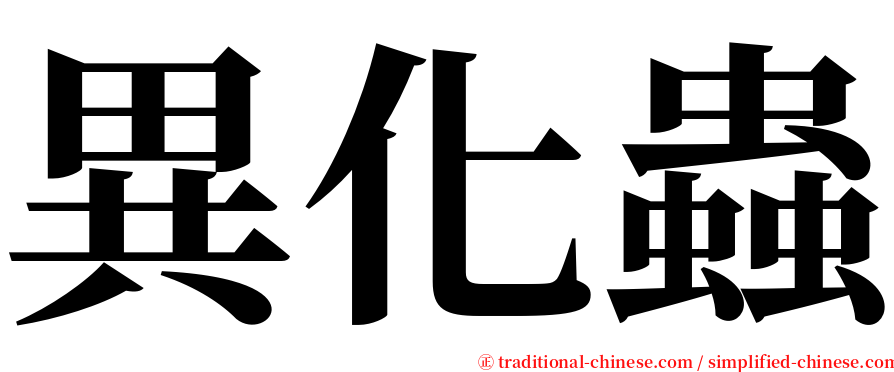 異化蟲 serif font